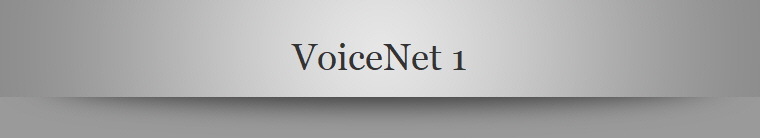 VoiceNet 1